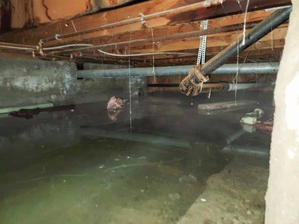 Best Emergency water damage restoration  in Glen Raven, NC