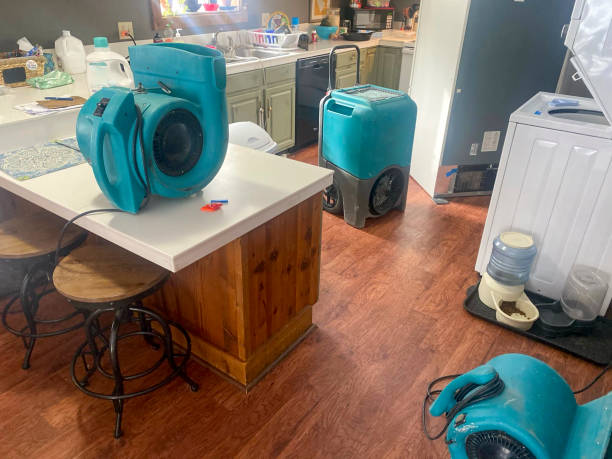 Best Mold removal after water damage  in Glen Raven, NC
