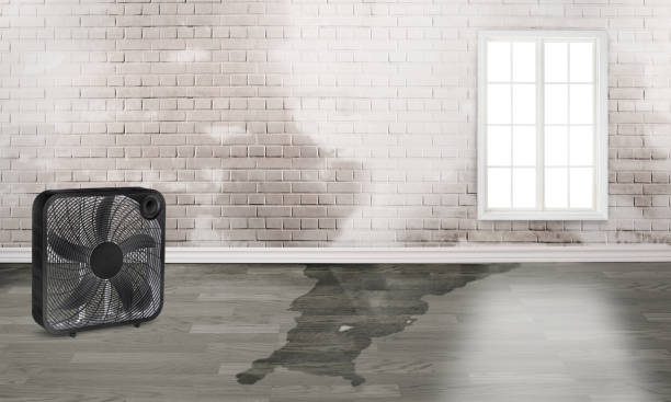 Best Residential water damage restoration  in Glen Raven, NC
