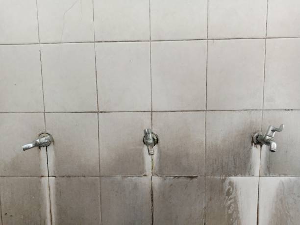 Best Emergency water damage restoration  in Glen Raven, NC