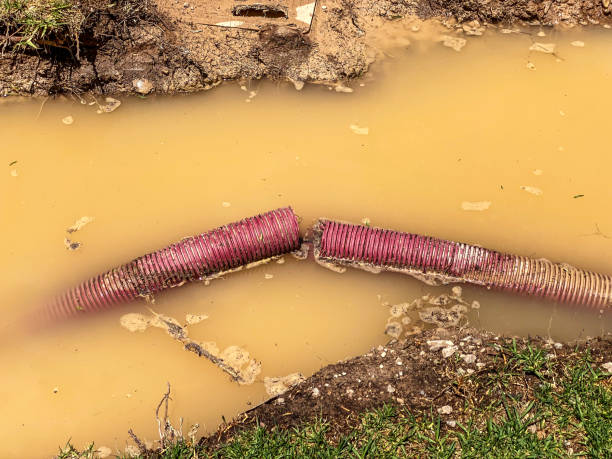 Best Sewage cleanup and water damage restoration  in Glen Raven, NC