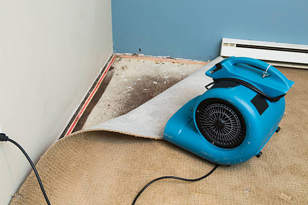 Best Carpet water damage restoration  in Glen Raven, NC